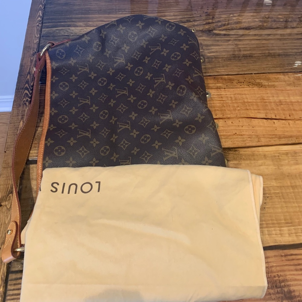 Louis  Vuitton Bag